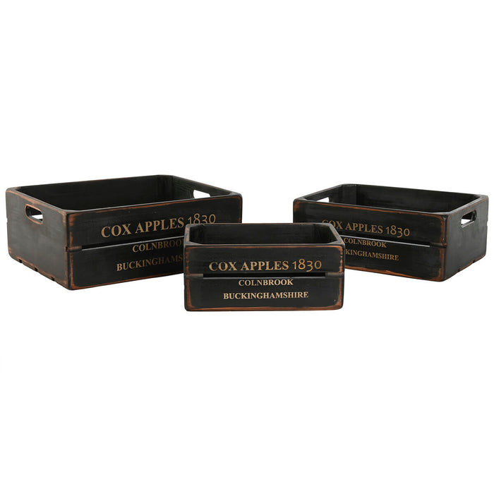 ESPRIT Home Cox Apples 1830 Black Fir Wood Storage Boxes 40 x 30 x 15 cm 3 Pieces
