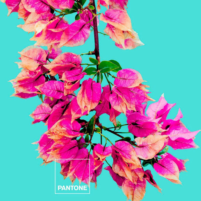 Bugnavilla Pantone Duvet Cover