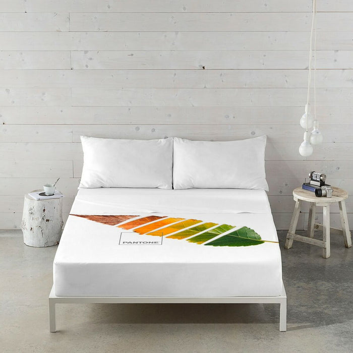 Leaf Pantone Sheet Set