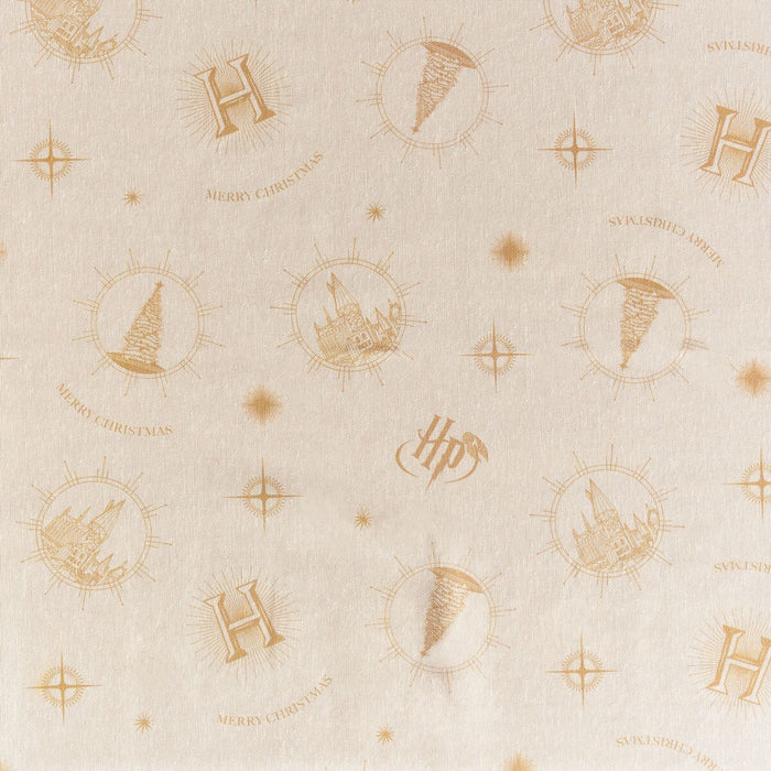 Harry Potter Hogwarts Christmas resin stain-resistant tablecloth 100 x 140 cm