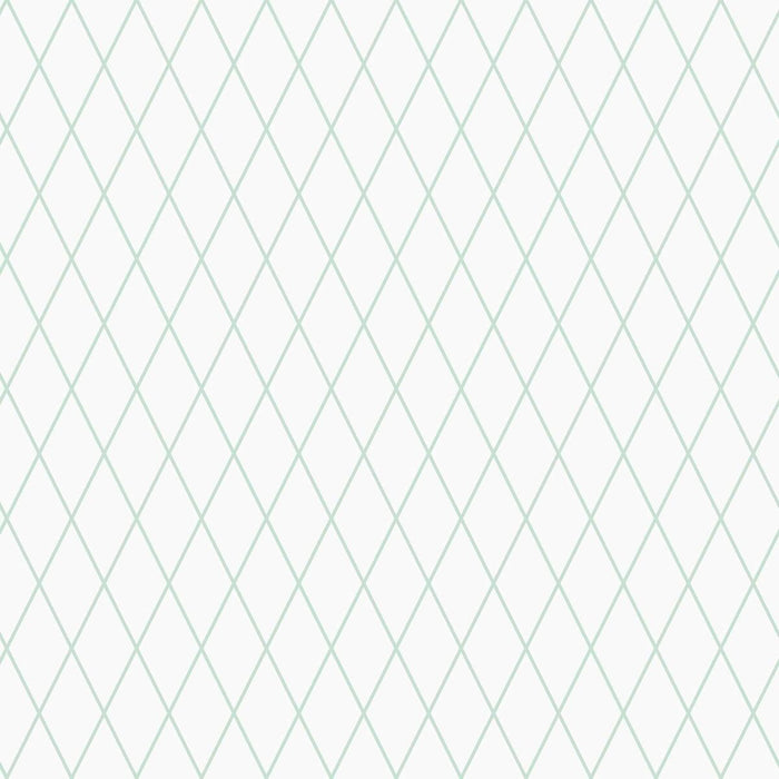 Belum stain-resistant tablecloth 220-58 100 x 140 cm